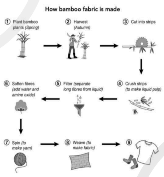 Cambridge IELTS 20 Academic Writing Test 1 Task 1 prompt illustration