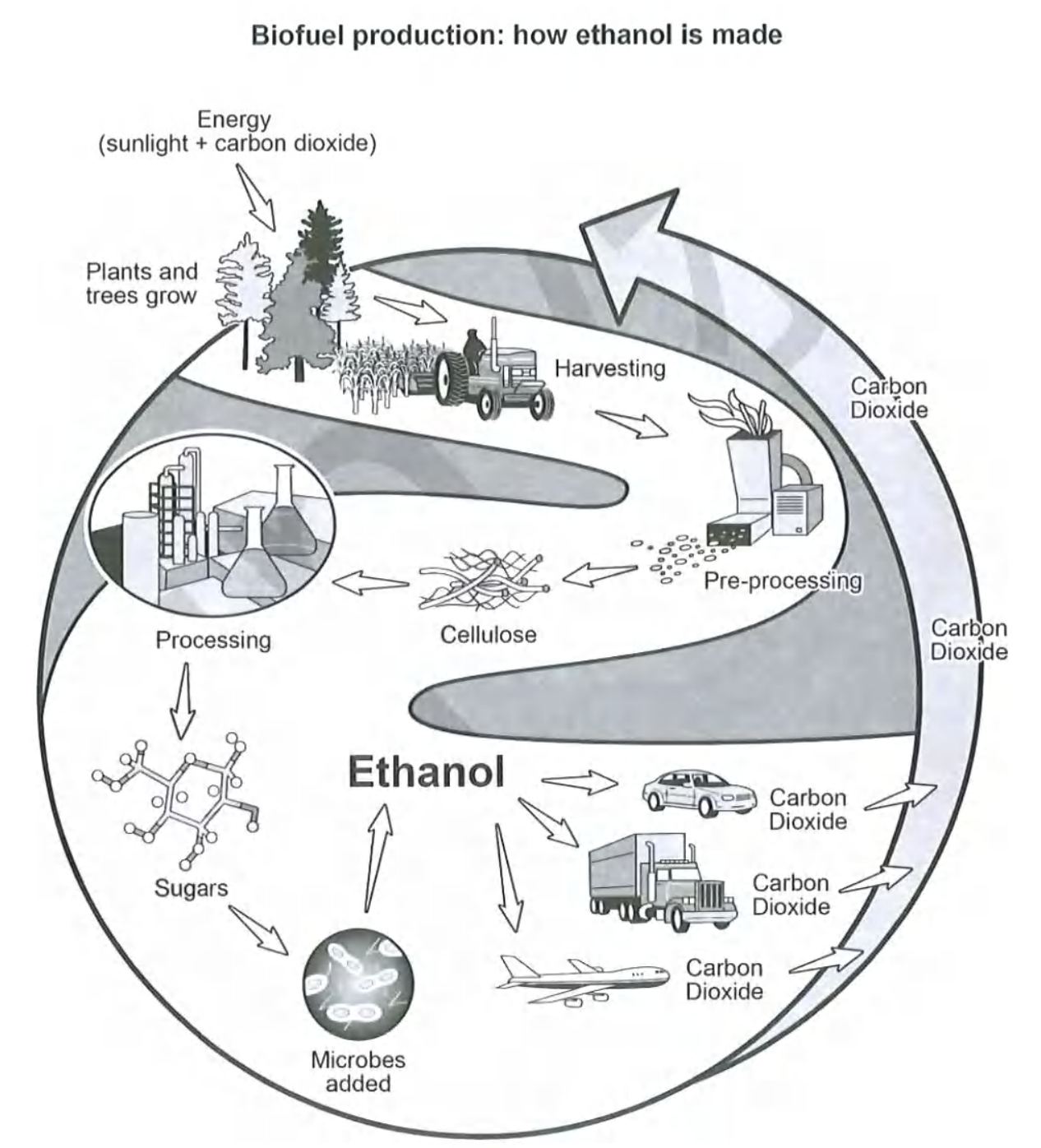 Cambridge IELTS 19 Academic Writing Test 3 Task 1 prompt illustration